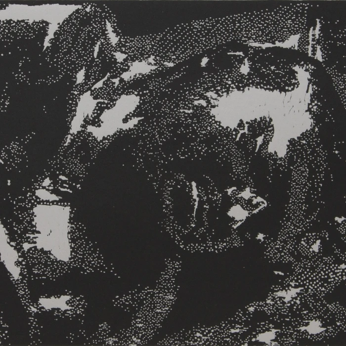 Miguel A. Aragón: Indices of Silence/Índices del silencio, 94th ANNUAL Solo Exhibition