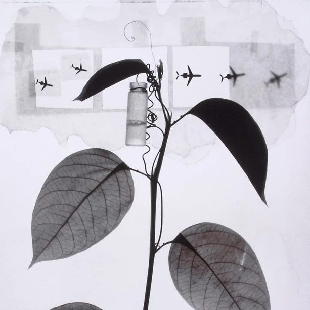 Charmed : Photographs by Susan Dunkerley, 78th ANNUAL Solo Exhibition