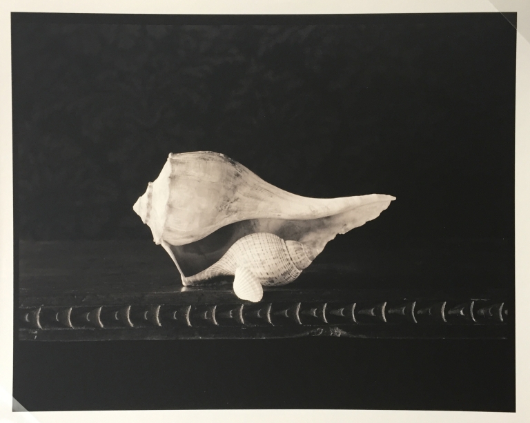 The Print Center Edition: D.W. Mellor