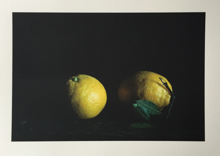 The Print Center Edition: Paul Cary Goldberg