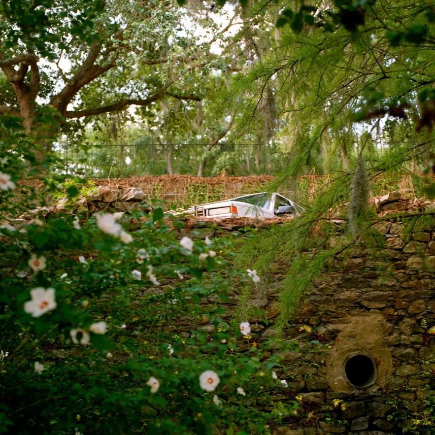 84th Annual International Competition: Photography