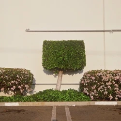The Suburban Landscape: Phil Marquez, 78th ANNUAL Solo Exhibition