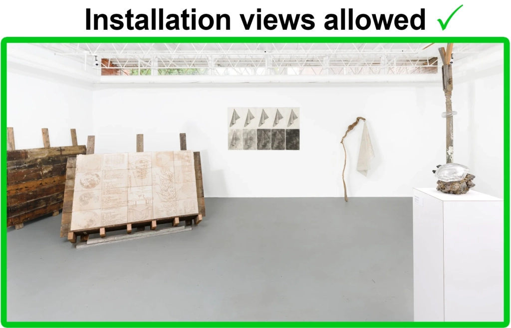 Installation view of Natalia Mejía Murillo: Between Emergency and Imminence