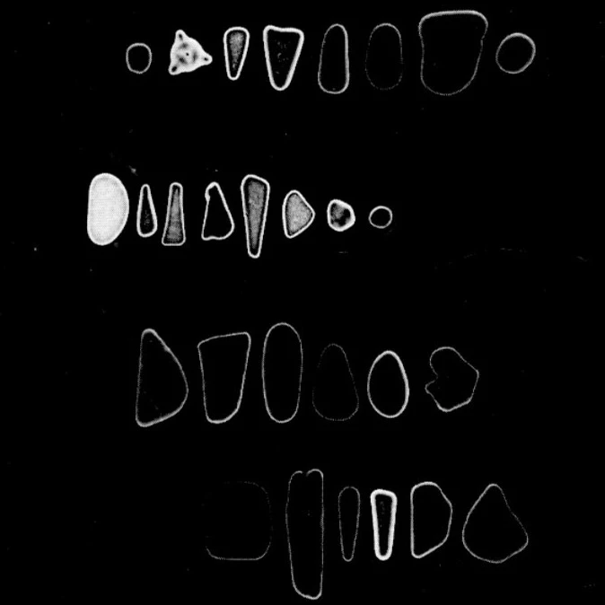 Luminance & Order: Photographs and Photograms by Geanna Merola