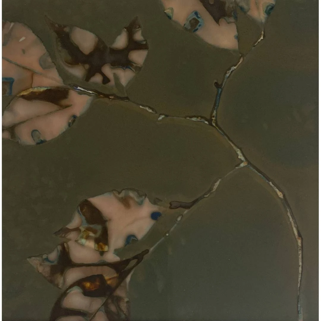<div>Laurie Beck Peterson</div>
