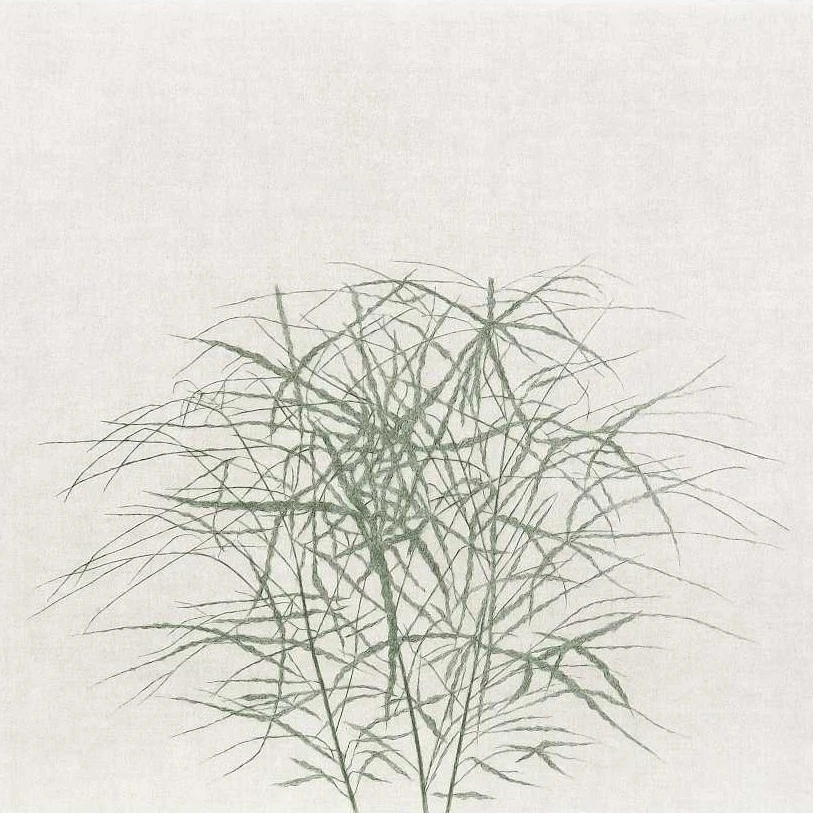 With Nature: Young-Sook Jang, 77th ANNUAL Solo Exhibition
