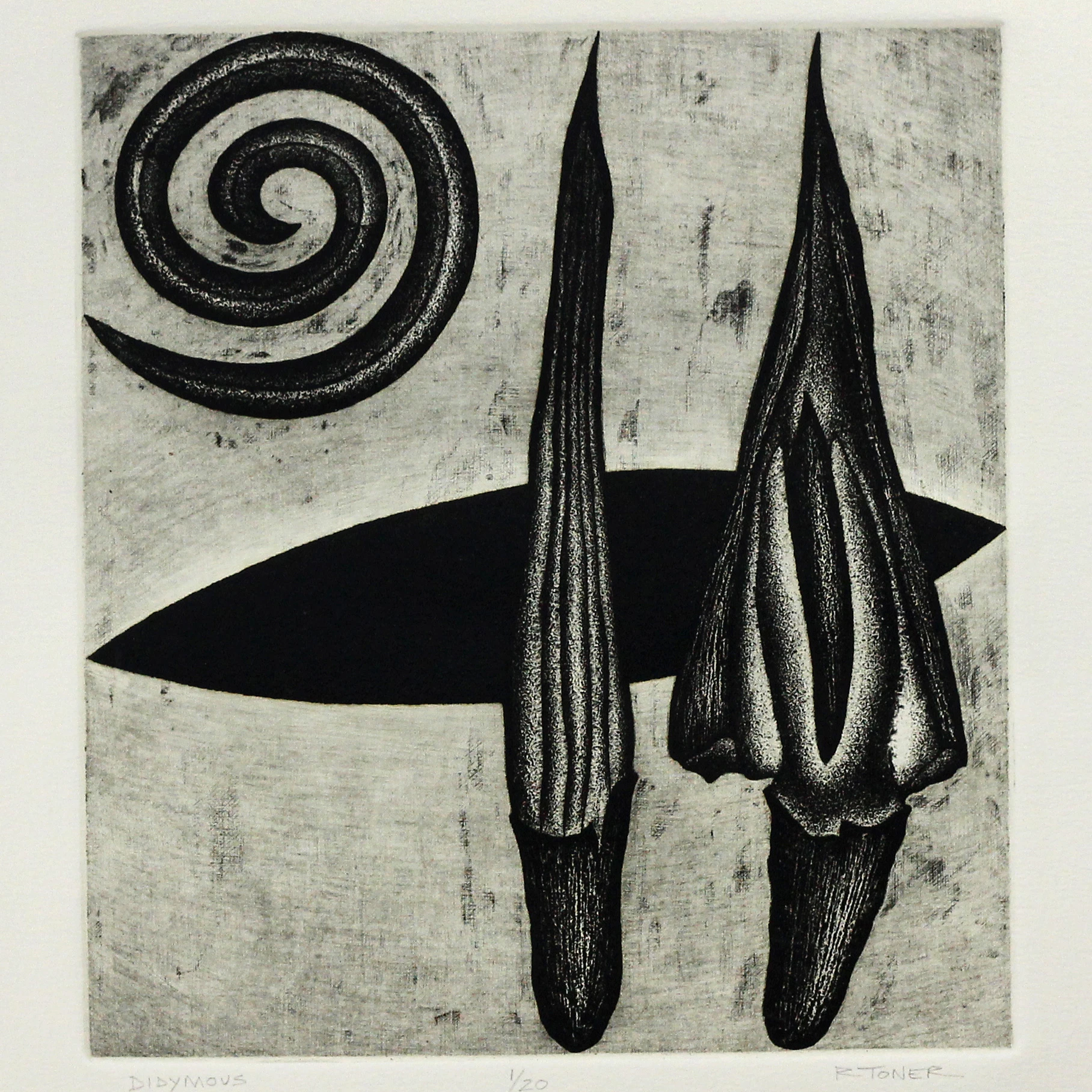 <div>Rochelle Toner</div>