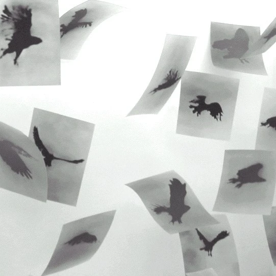 Totentanz: Debra Werblud, 77th ANNUAL Solo Exhibition