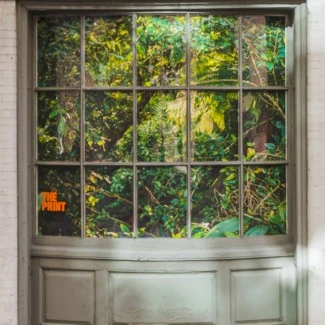 Jaime Alvarez: El Yunque, Windows on Latimer