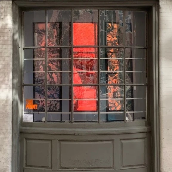 Roxana Azar: Projections, Windows on Latimer
